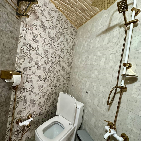 هتل آبوتیک اناهید دفتر خدمات مسافرتی و پردشگری پیوند ستارگان دیان dian starlink (2)