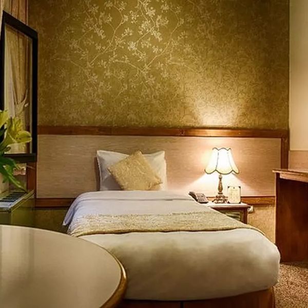 هتل آریوبرزن دفتر خدمات مسافرتی و پردشگری پیوند ستارگان دیان dian starlink (12)