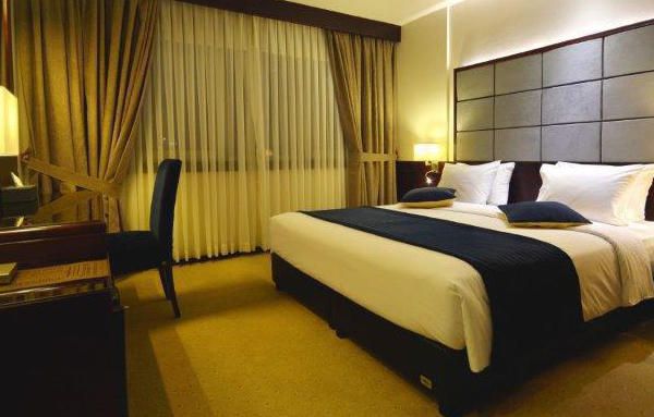 هتل الیزه شیراز دفرخدمات مسافرتی و گردشگری پیوند ستارگان دیانdianstarlink (15)