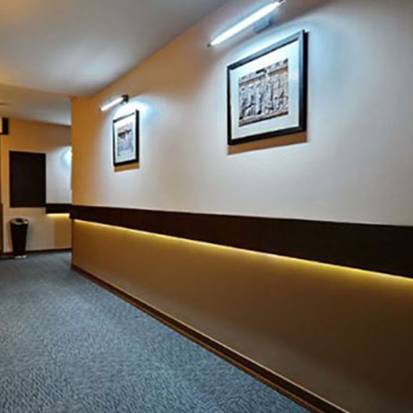 هتل الیزه شیراز دفرخدمات مسافرتی و گردشگری پیوند ستارگان دیانdianstarlink (2)