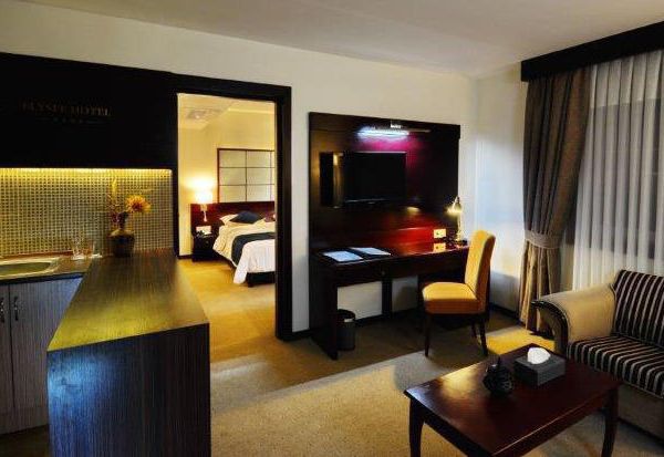 هتل الیزه شیراز دفرخدمات مسافرتی و گردشگری پیوند ستارگان دیانdianstarlink (26)