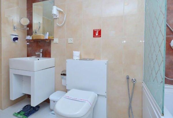 هتل الیزه شیراز دفرخدمات مسافرتی و گردشگری پیوند ستارگان دیانdianstarlink (28)