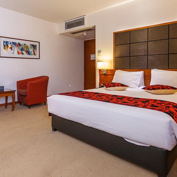 هتل الیزه شیراز دفرخدمات مسافرتی و گردشگری پیوند ستارگان دیانdianstarlink (34)