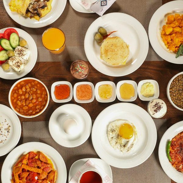 هتل الیزه شیراز دفرخدمات مسافرتی و گردشگری پیوند ستارگان دیانdianstarlink (39)