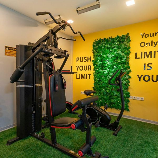 هتل الیزه شیراز دفرخدمات مسافرتی و گردشگری پیوند ستارگان دیانdianstarlink (50)