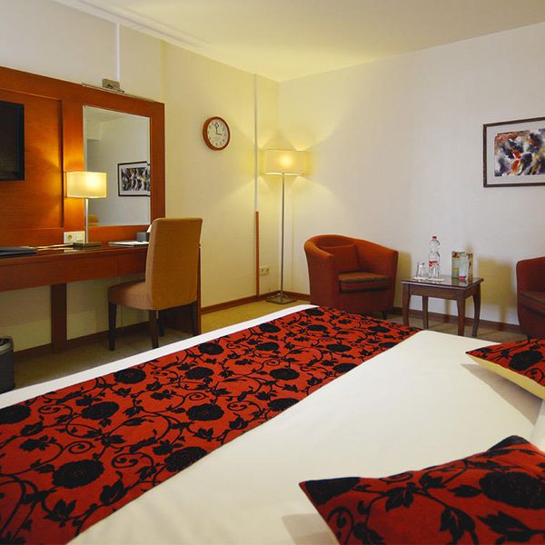 هتل الیزه شیراز دفرخدمات مسافرتی و گردشگری پیوند ستارگان دیانdianstarlink (52)