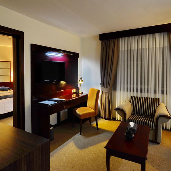 هتل الیزه شیراز دفرخدمات مسافرتی و گردشگری پیوند ستارگان دیانdianstarlink (58)