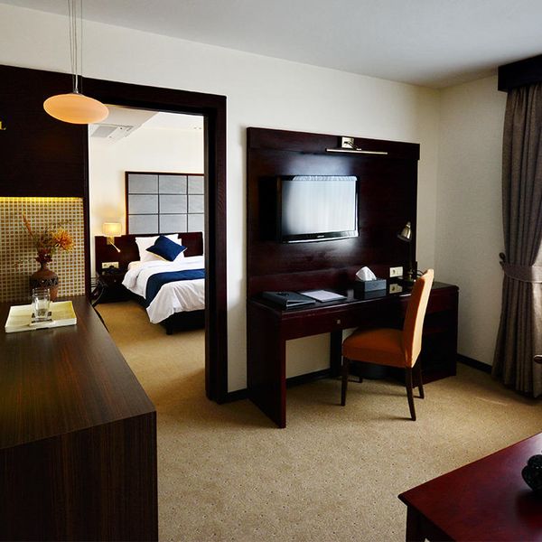 هتل الیزه شیراز دفرخدمات مسافرتی و گردشگری پیوند ستارگان دیانdianstarlink (63)