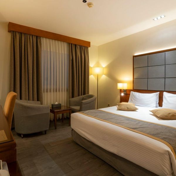 هتل الیزه شیراز دفرخدمات مسافرتی و گردشگری پیوند ستارگان دیانdianstarlink (65)