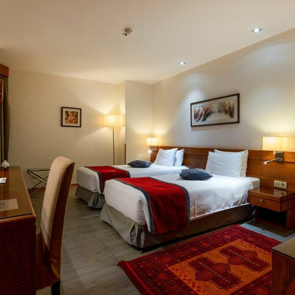 هتل الیزه شیراز دفرخدمات مسافرتی و گردشگری پیوند ستارگان دیانdianstarlink (66)