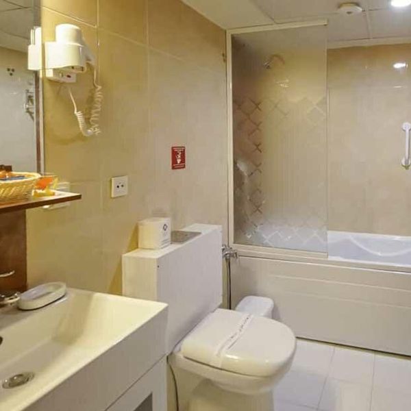 هتل الیزه شیراز دفرخدمات مسافرتی و گردشگری پیوند ستارگان دیانdianstarlink (71)