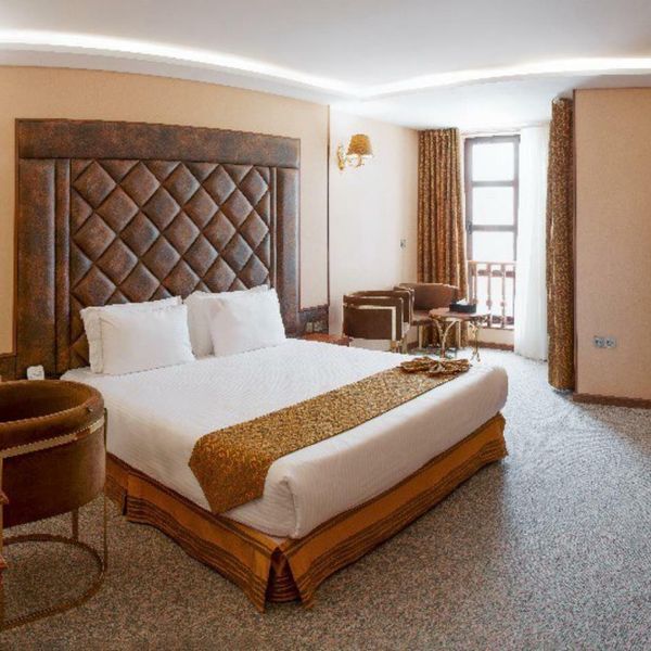 هتل بزرگ رز شیراز دفتر خدمات مسافرتی و گردشگری پیوند ستارگان دیان DIAN STARLINK (7)