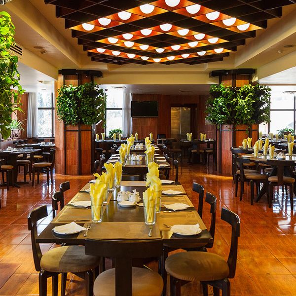 هتل بین الملل پارس کیش دفرخدمات مسافرتی و گردشگری پیوند ستارگان دیانdianstarlink (3)