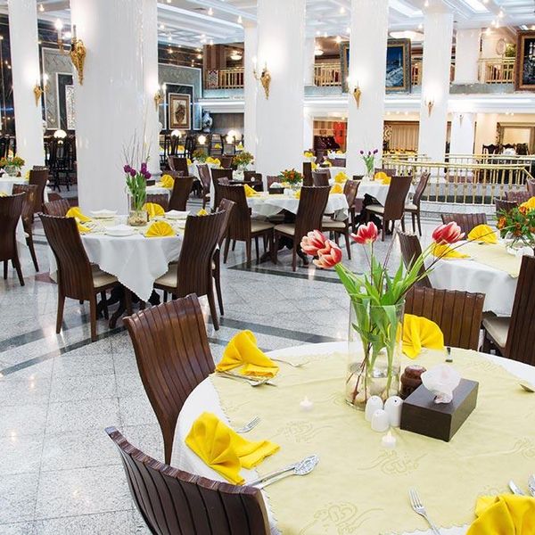 هتل بین المللی قصر دفتر خدمات مسافرتی پیوند ستارگان دیان dianstarlink (15)