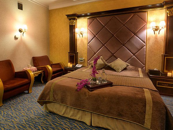 هتل بین المللی قصر دفتر خدمات مسافرتی پیوند ستارگان دیان dianstarlink (18)