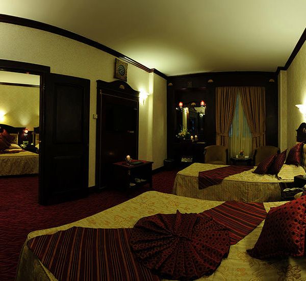 هتل بین المللی قصر دفتر خدمات مسافرتی پیوند ستارگان دیان dianstarlink (35)