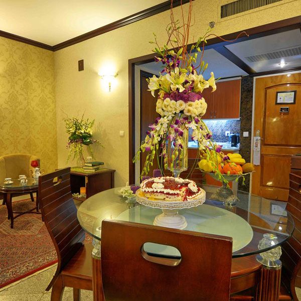 هتل بین المللی قصر دفتر خدمات مسافرتی پیوند ستارگان دیان dianstarlink (39)