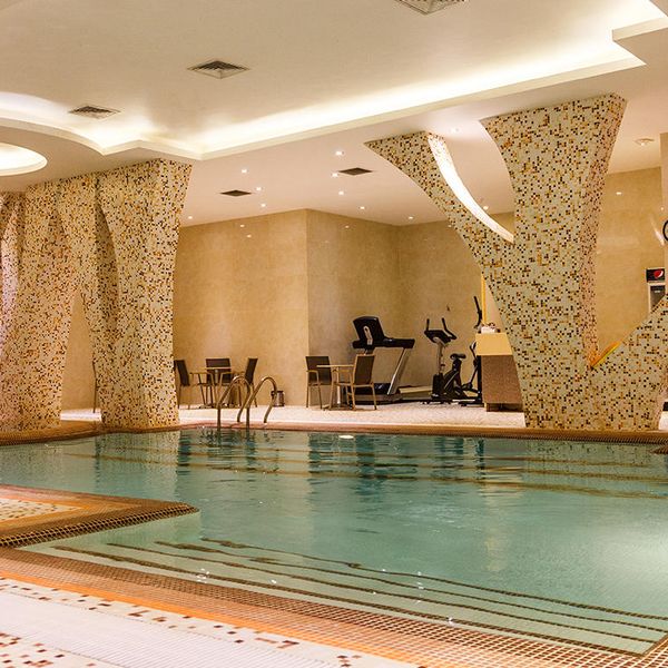 هتل رویال شیراز دفرخدمات مسافرتی و گردشگری پیوند ستارگان دیانdianstarlink (16)