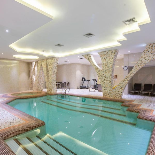 هتل رویال شیراز دفرخدمات مسافرتی و گردشگری پیوند ستارگان دیانdianstarlink (28)