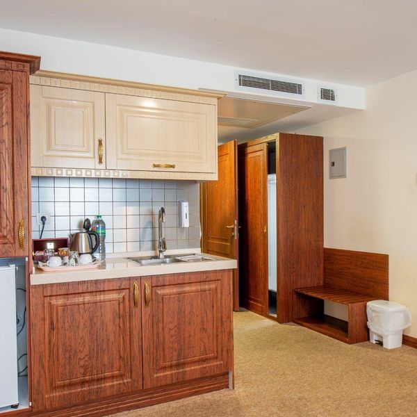 هتل شیرازیس شیراز دفرخدمات مسافرتی و گردشگری پیوند ستارگان دیانdianstarlink (1)