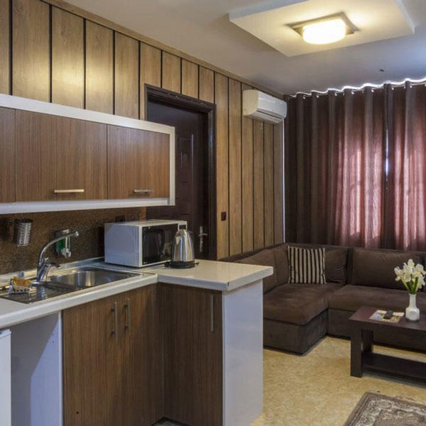 هتل قدس دفتر خدمات مسافرتی پیوند ستارگان دیان dianstarlink (6)