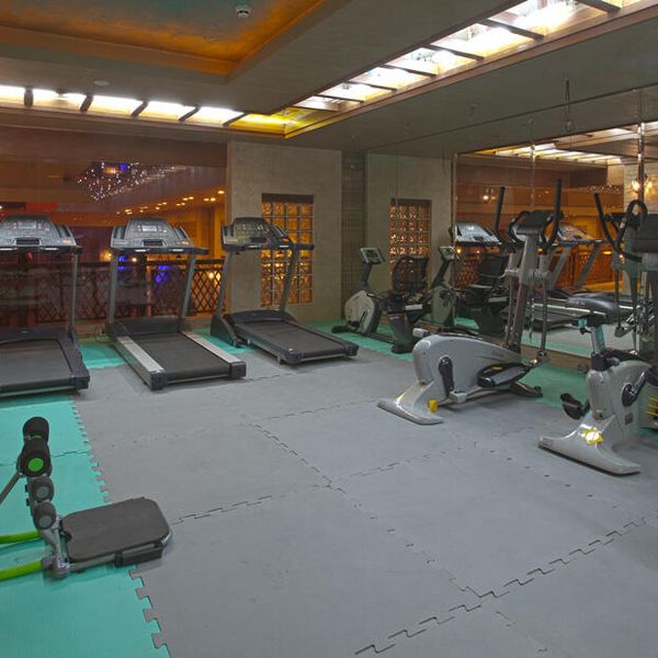 هتل مجلل درویشی دفتر خدمات مسافرتی پیوند ستارگان دیان dianstarlink (12)