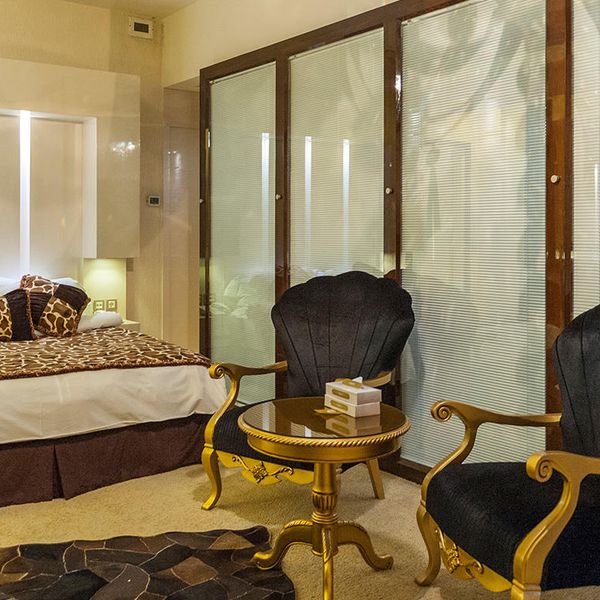 هتل مجلل درویشی دفتر خدمات مسافرتی پیوند ستارگان دیان dianstarlink (18)