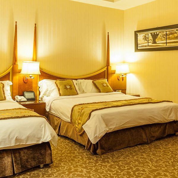 هتل مجلل درویشی دفتر خدمات مسافرتی پیوند ستارگان دیان dianstarlink (19)