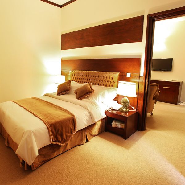 هتل مجلل درویشی دفتر خدمات مسافرتی پیوند ستارگان دیان dianstarlink (34)