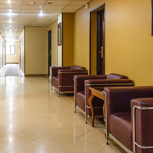 هتل شیرازیس شیراز دفرخدمات مسافرتی و گردشگری پیوند ستارگان دیانdianstarlink (1)