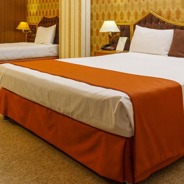 هتل شیرازیس شیراز دفرخدمات مسافرتی و گردشگری پیوند ستارگان دیانdianstarlink (1)