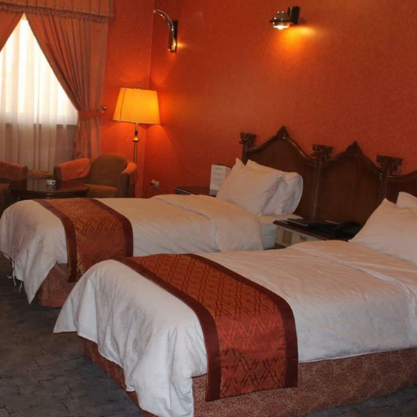 هتل پرسپولیس شیراز دفتر خدمات مسافرتی و گردشگری پیوند ستارگان دیان DIAN STARLINK (23)