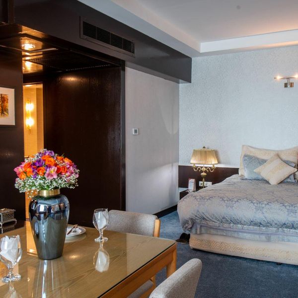 هتل چمران شیراز دفتر خدمات مسافرتی و گردشگری پیوند ستارگان دیان dian starlink (14)